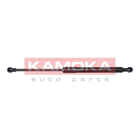 7091022 Gas Spring, bonnet