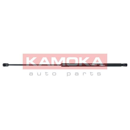 7091156 Gas Spring, bonnet