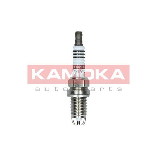 7090002 Spark Plug