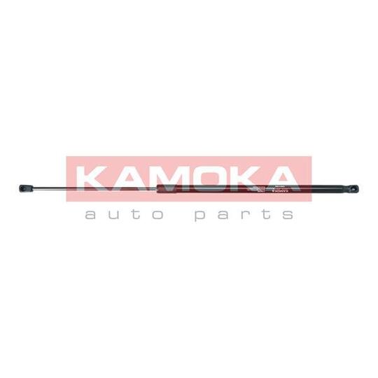 7091152 Gas Spring, bonnet