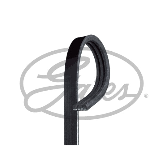 3PK856SF V-Ribbed Belt