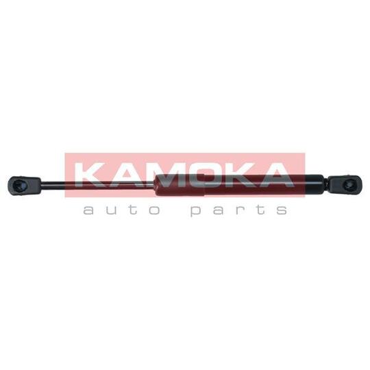 7091138 Gas Spring, bonnet