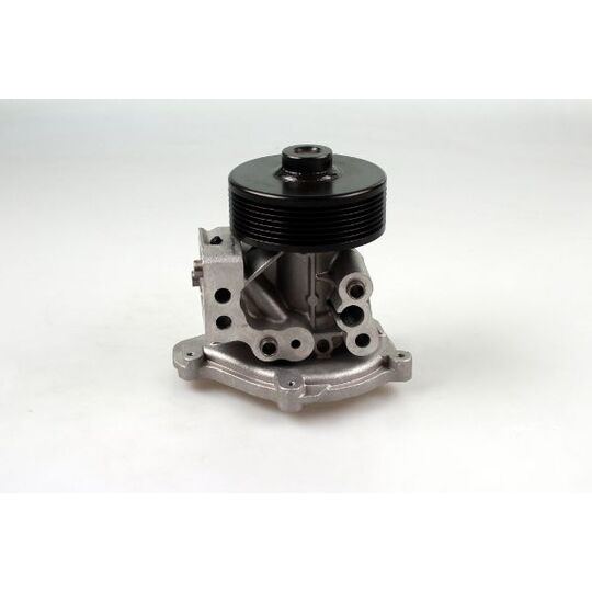 P259 Water pump