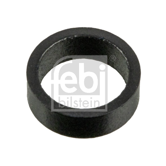 174303 Seal Ring, injector