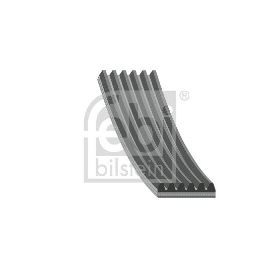 176582 V-Ribbed Belt