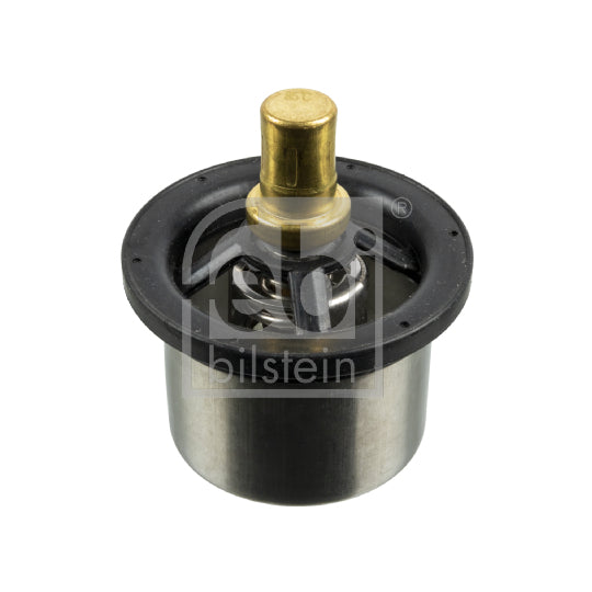 173719 Thermostat, coolant