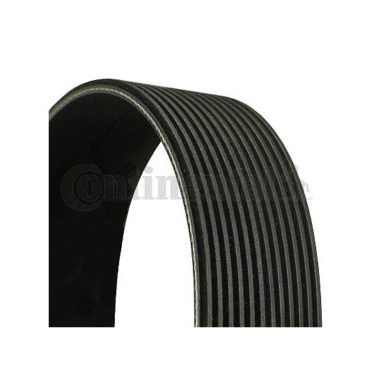 12PK1815 V-Ribbed Belt