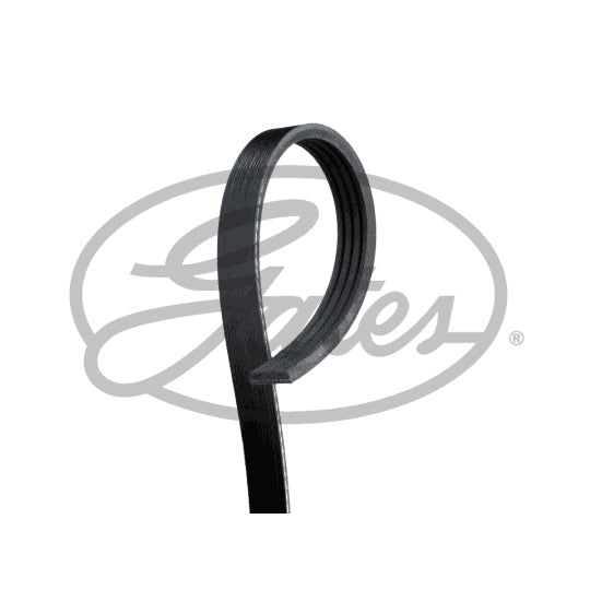 4PK1708 V-Ribbed Belt