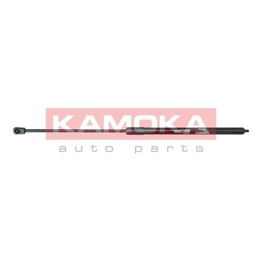 7091079 Gas Spring, bonnet