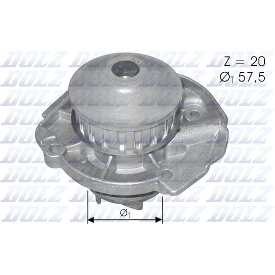 S161 Water pump