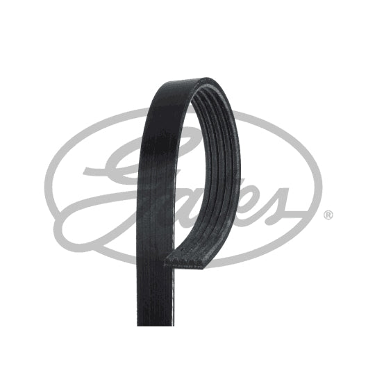 5PK738 V-Ribbed Belt