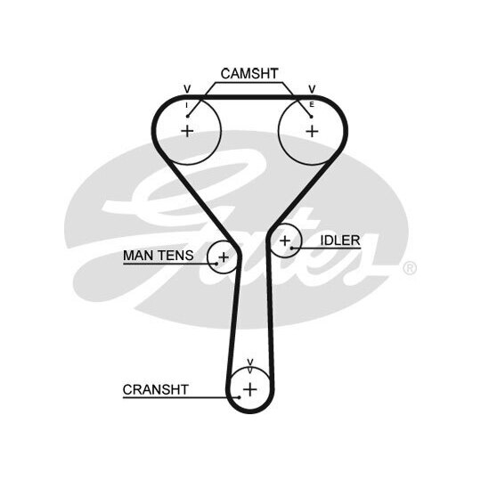 5487XS Timing Belt