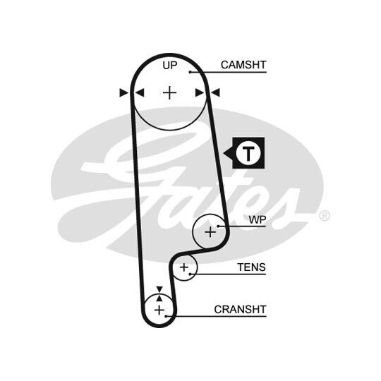 5232XS Timing Belt