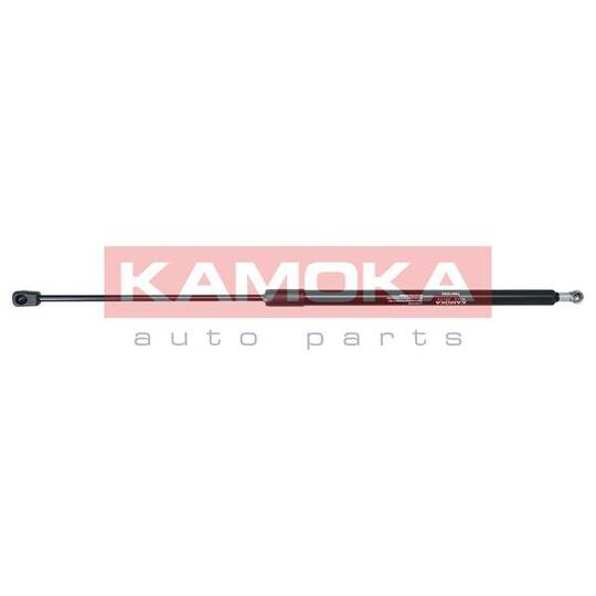 7091050 Gas Spring, bonnet