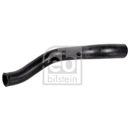 172957 Radiator Hose