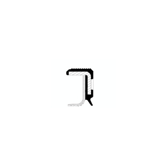 20036083B Shaft Seal, crankshaft