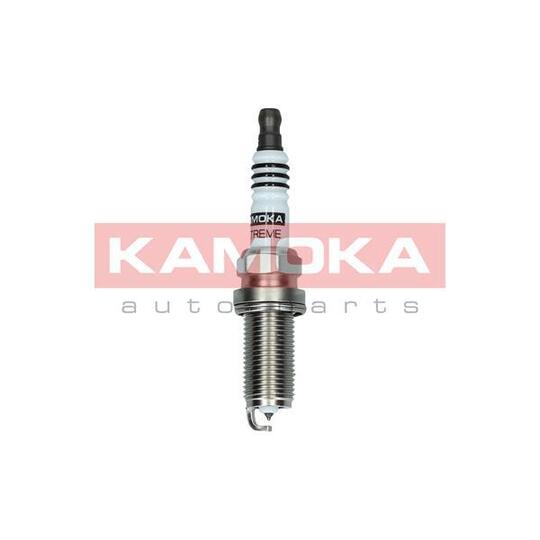 7090029 Spark Plug