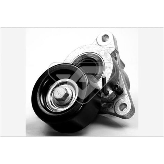 T0058 Tensioner Pulley, v-ribbed belt