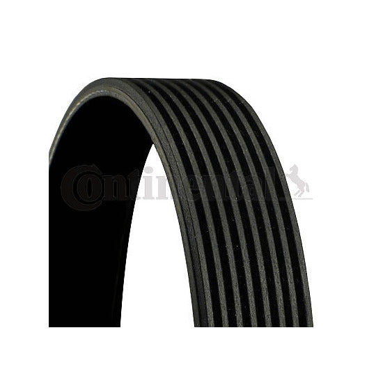 8PK1570 V-Ribbed Belt