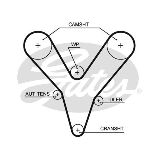 5527XS Timing Belt