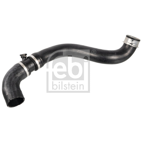 172431 Radiator Hose