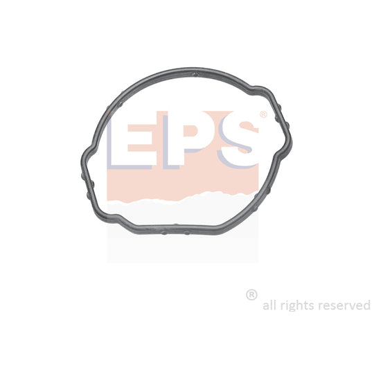 1.890.689 Gasket, thermostat