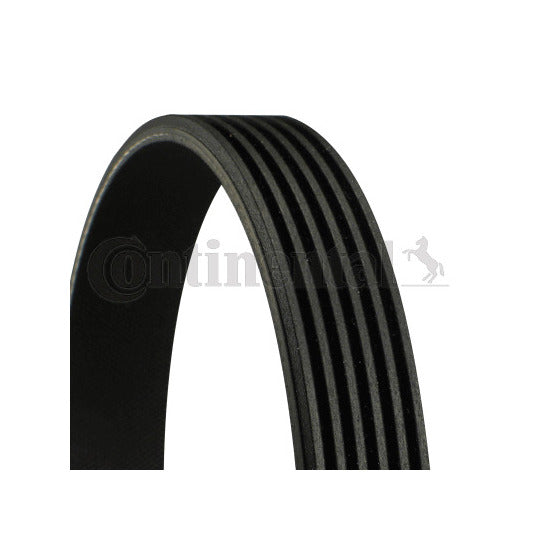 6PK948 V-Ribbed Belt