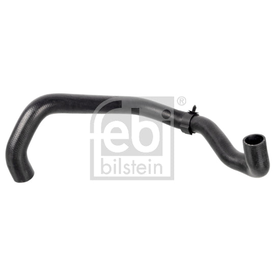 174416 Radiator Hose