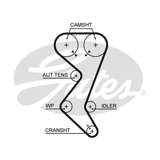 5528XS Timing Belt