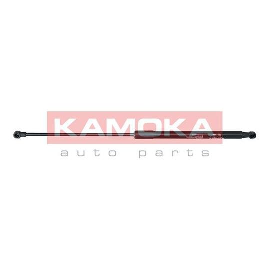 7091129 Gas Spring, bonnet