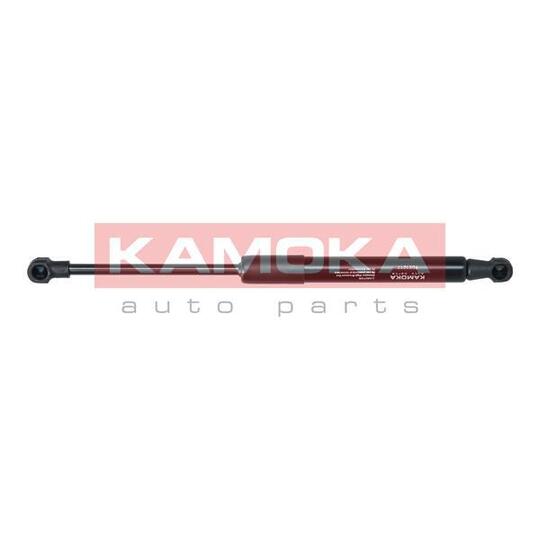 7091017 Gas Spring, bonnet