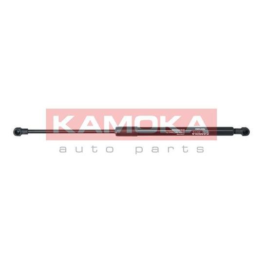 7091043 Gas Spring, bonnet