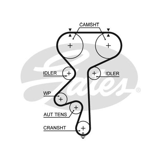 5542XS Timing Belt