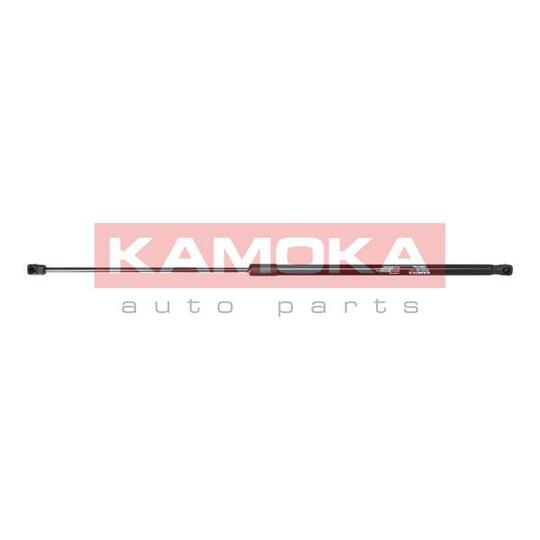 7091148 Gas Spring, bonnet