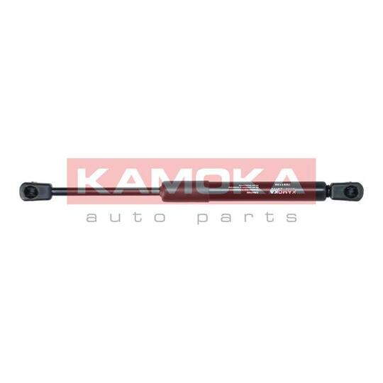 7091136 Gas Spring, bonnet