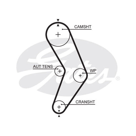 5662XS Timing Belt