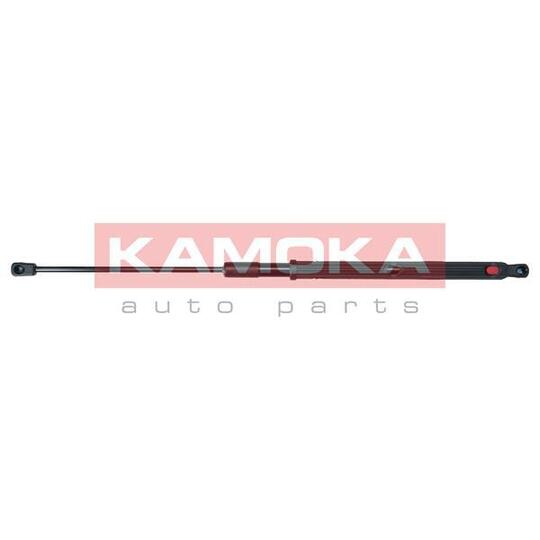 7091077 Gas Spring, bonnet