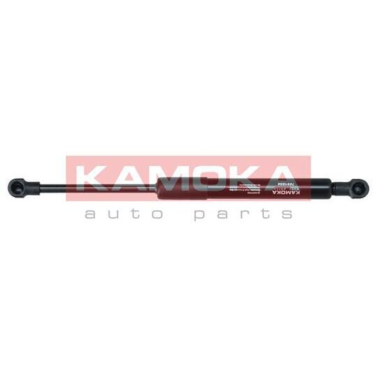 7091034 Gas Spring, bonnet