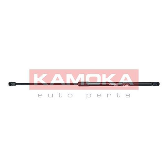 7091078 Gas Spring, bonnet