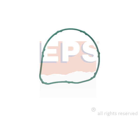 1.890.713 Gasket, thermostat