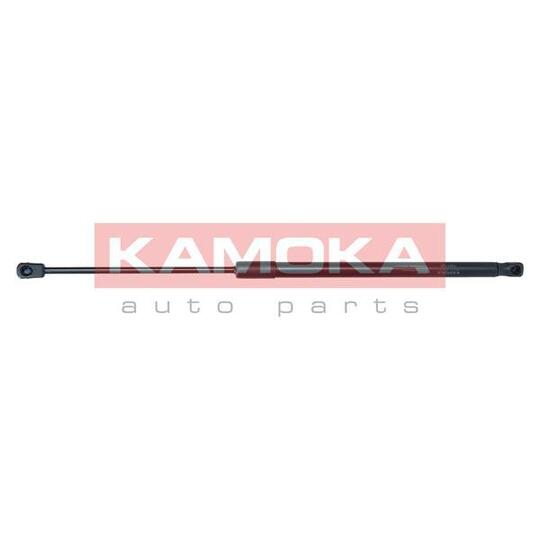 7091155 Gas Spring, bonnet