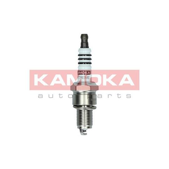 7090516 Spark Plug