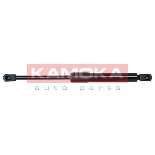 7091096 Gas Spring, bonnet
