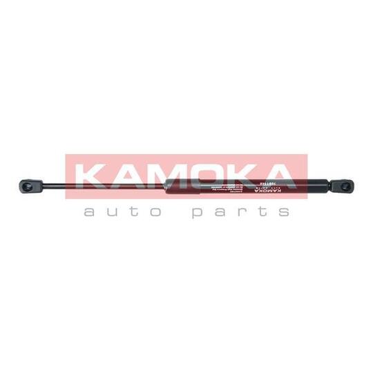 7091146 Gas Spring, bonnet