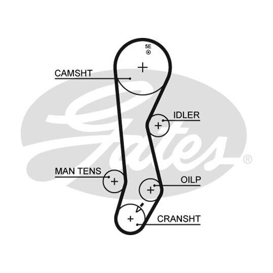 5389XS Timing Belt