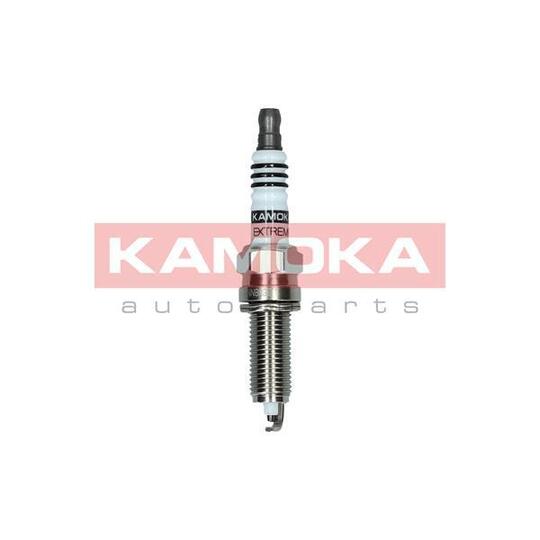 7090545 Spark Plug