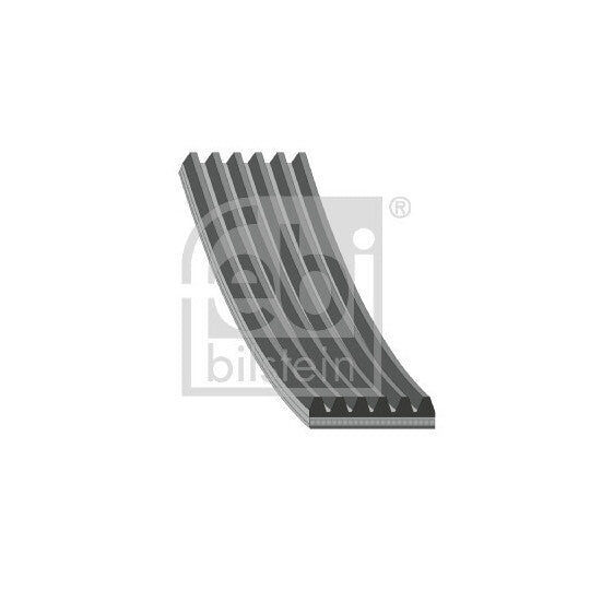 176693 V-Ribbed Belt