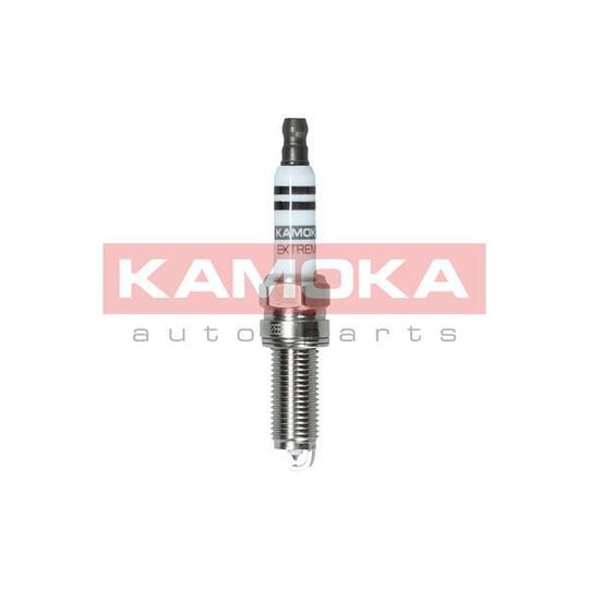 7090021 Spark Plug