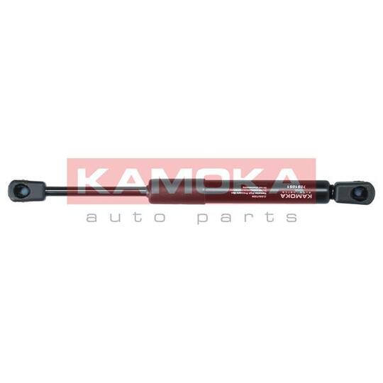 7091051 Gas Spring, bonnet