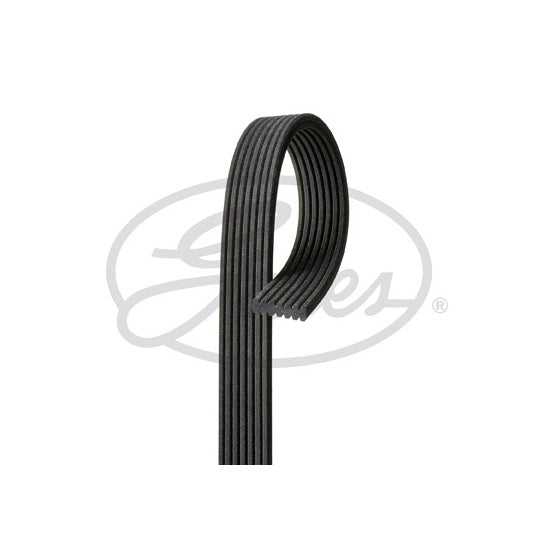 7DPK1560 V-Ribbed Belt